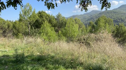 Immagine 2 dell'annuncio
