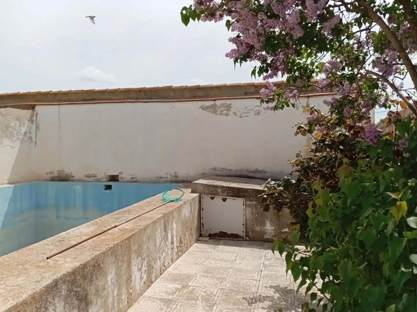 Adossat amb jardí en venda a Calle Barrio Parras 17, imagen 29