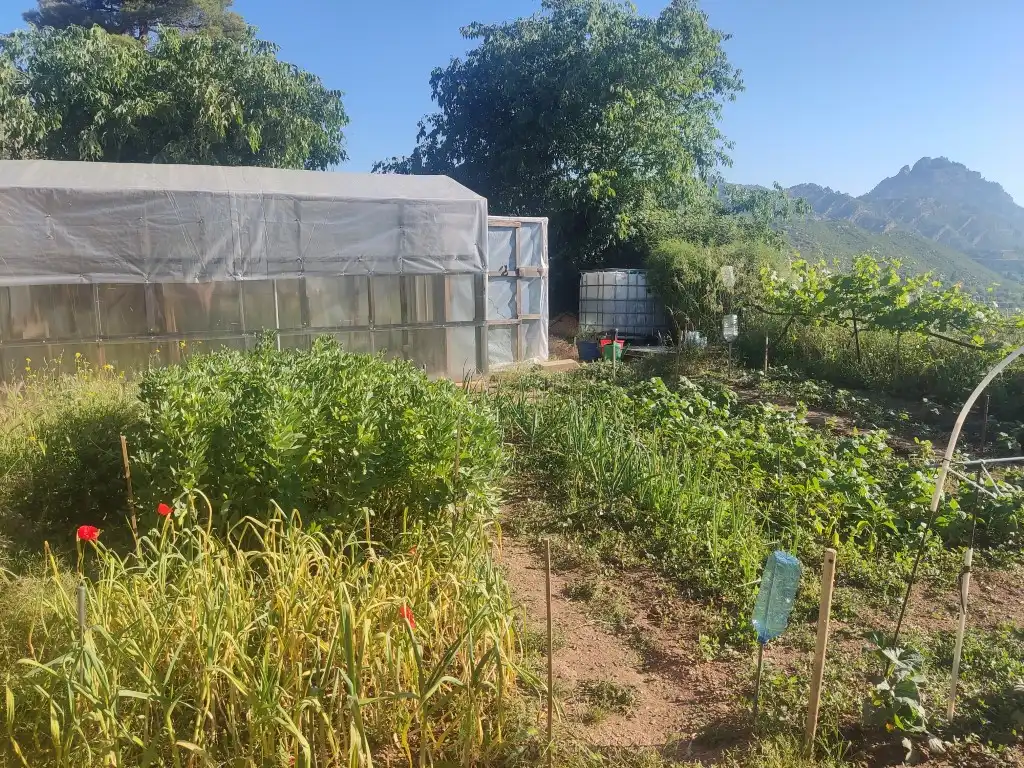 Rural land for sale in Horta de Sant Joan, imagen 11