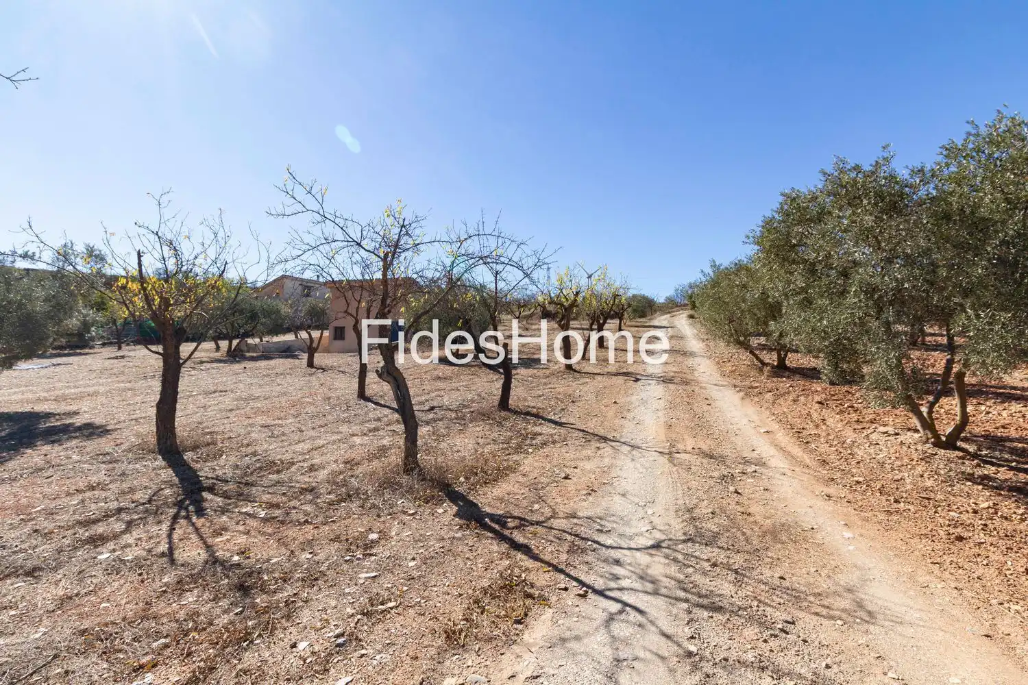 Rural land for sale in XC7V+6WV Acequias 0, imagen 6