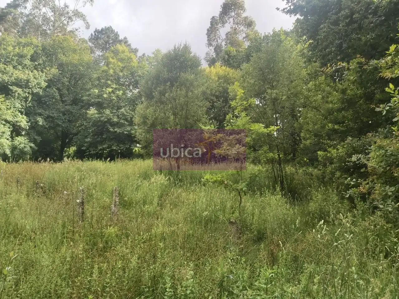 Lands and plots for sale in Salceda de Caselas, imagen 4