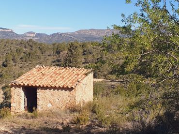 Rustikales Grundstück zum Verkauf in El Pinell de Brai
