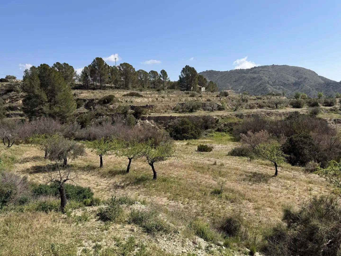 Terreny rústic en venda a rigueres, imagen 5