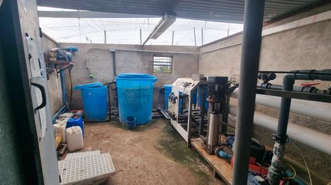 Photo 4 of Land for sale in Pozo de los Frailes - Presillas - Albaricoques, Almería