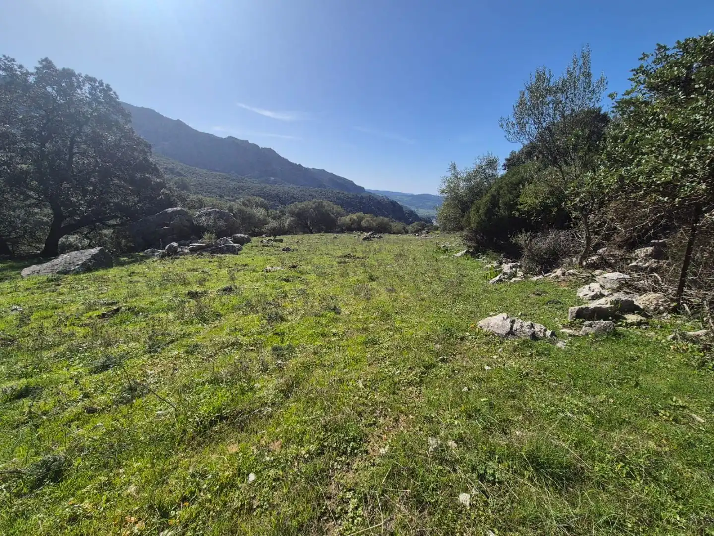 Grundstücke zum Verkauf in Benaocaz