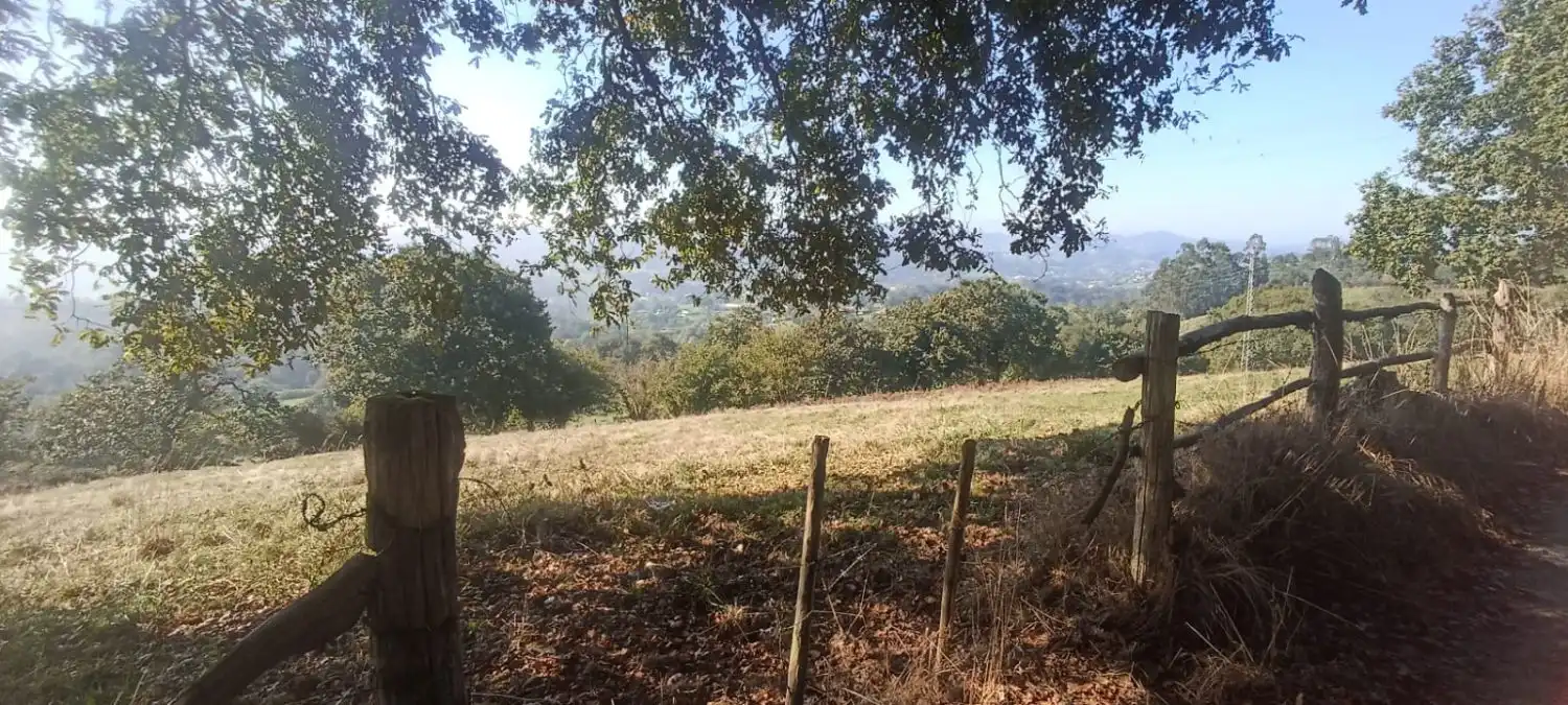 Finca rústica en venta en Nava