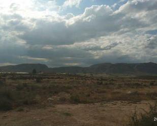 Land for sale in Abarán