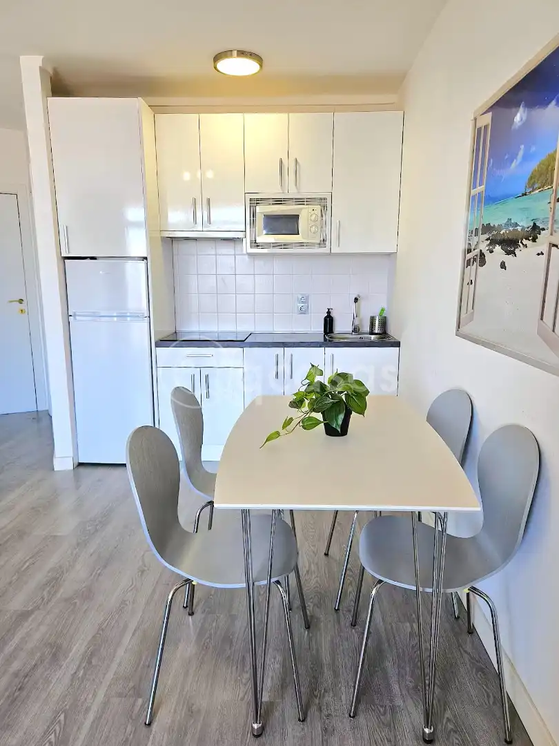 Cocina de Estudio en venta en Benalmádena con Aire acondicionado, Calefacción y Terraza