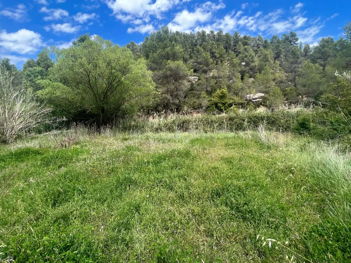 Terreno en venta en Cretas