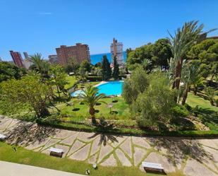 Jardí de Apartament de lloguer en Alicante / Alacant amb Aire condicionat, Terrassa i Balcó