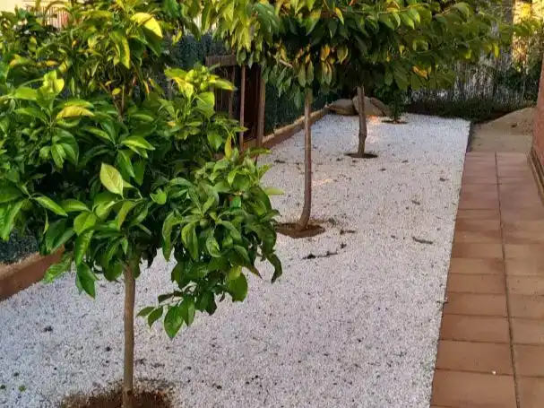 Jardí de Casa o xalet en venda en La Roca del Vallès amb Aire condicionat