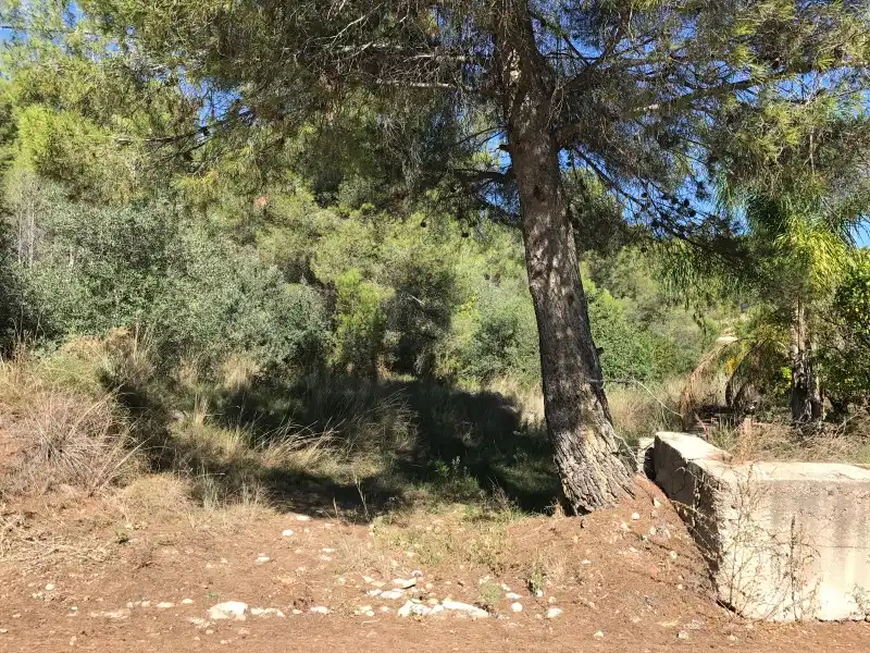 Terreno rústico en venta en Carrer Ametler, imagen 20