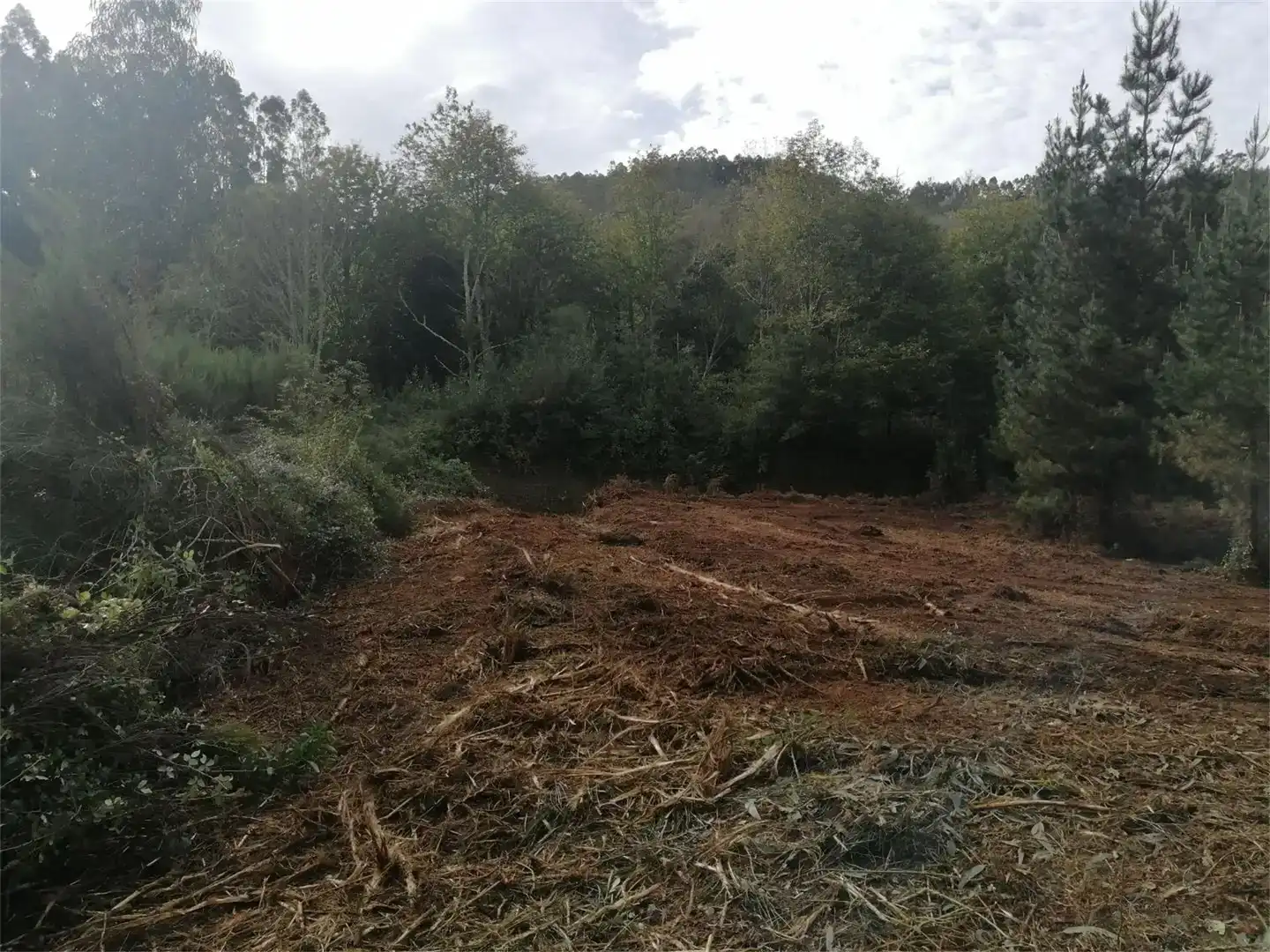 Terreno en venta en Cerdido