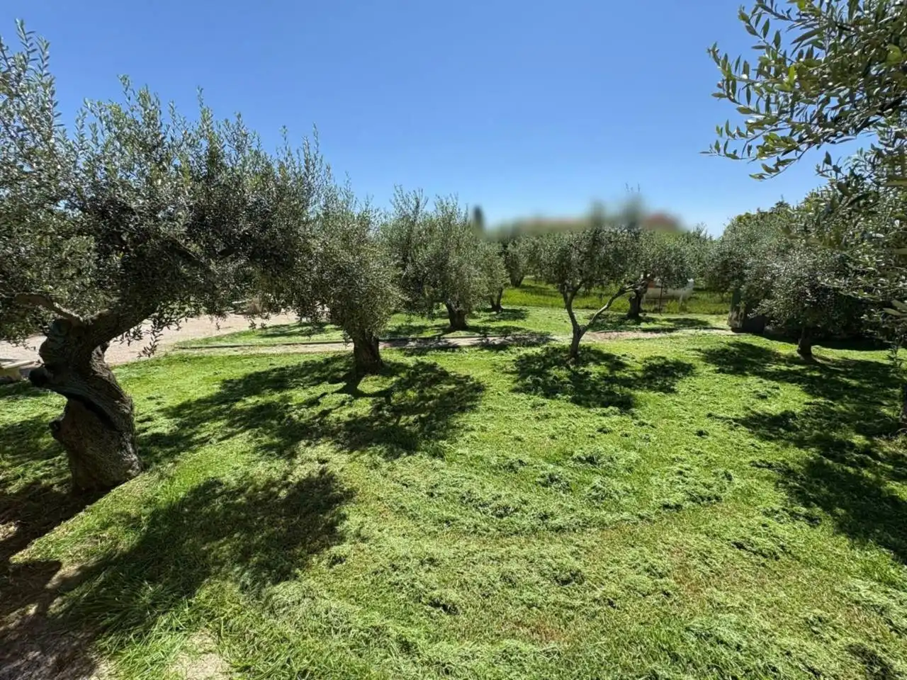 Casa o chalet en venta en Torredembarra con Aire acondicionado, Calefacción y Jardín privado
