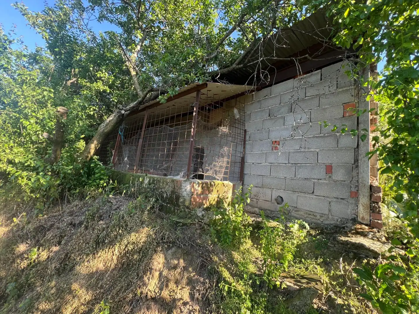 Terreni e lotti in vendita a Casas del Castañar, imagen 17