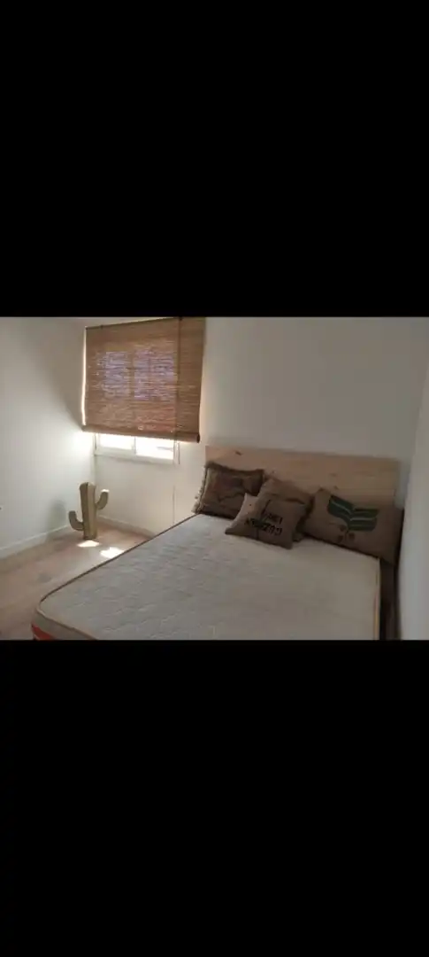 Bedroom of Flat for rent in Elche / Elx  with Furnished