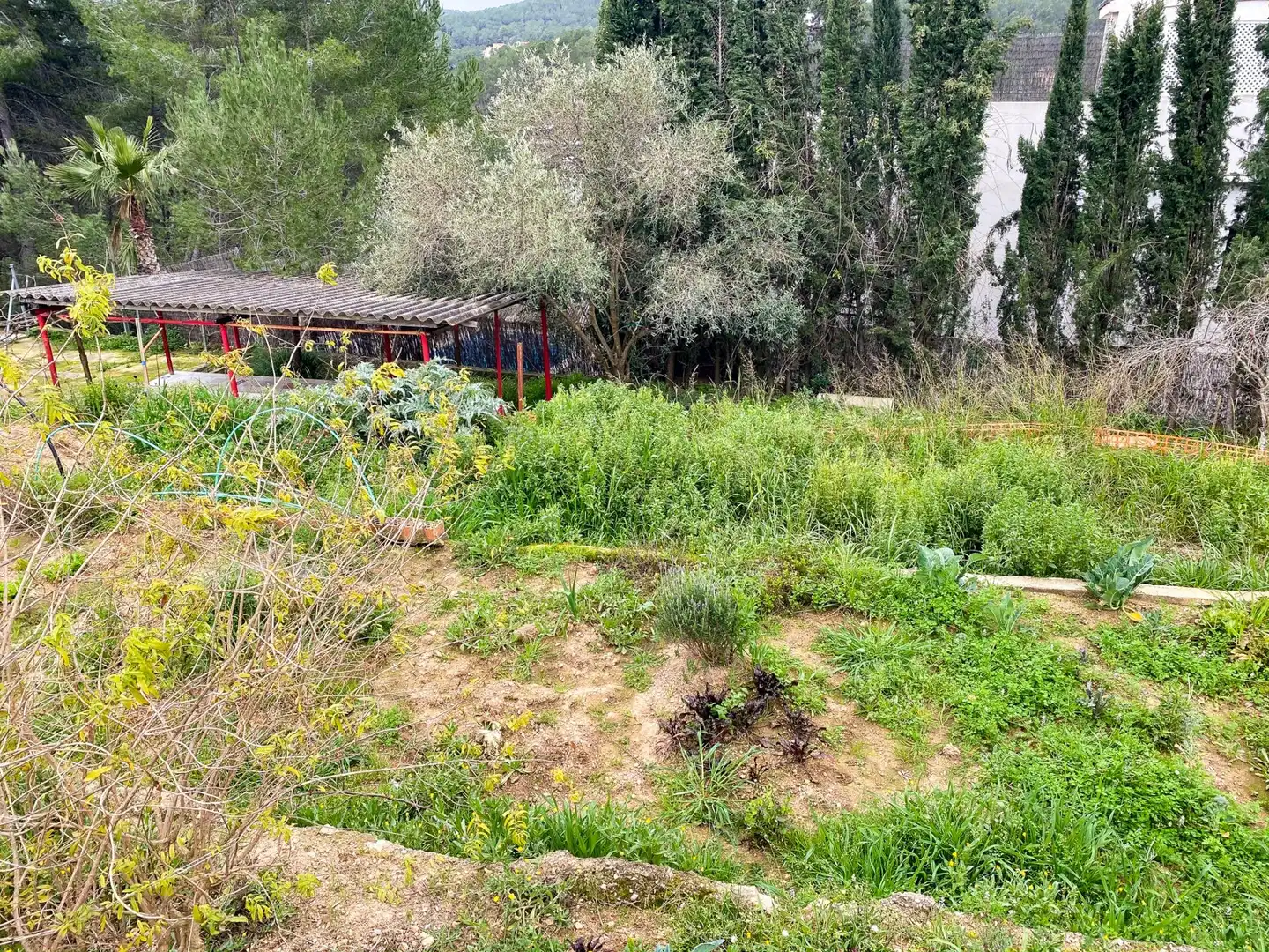 Wohnbaugrundstück zum Verkauf in Carrer Jupiter, imagen 6