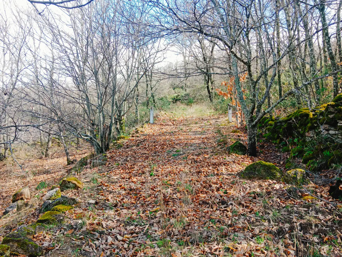 Terreni e lotti in vendita a Arroyomolinos de la Vera, imagen 31