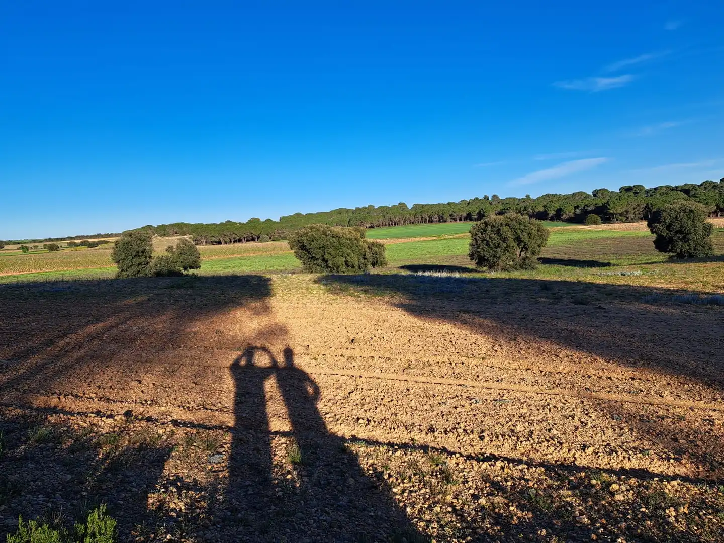 Grundstücke zur Miete in Villagarcía del Llano