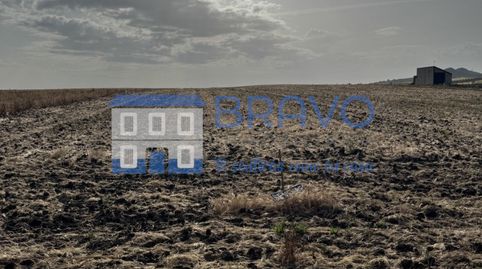 Parcela rústica en venta en La Haba, imagen 3