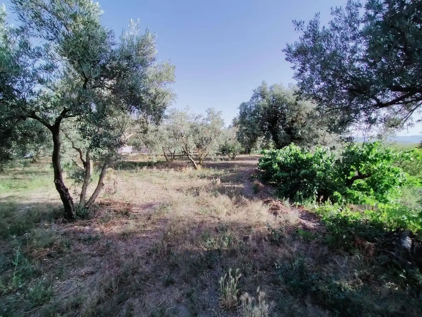 Lands and plots for sale in Nigüelas, imagen 7