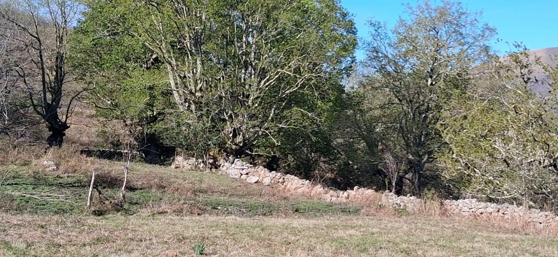 Villa mit Garten zum Verkauf in Poblado Fresneda 25, imagen 30