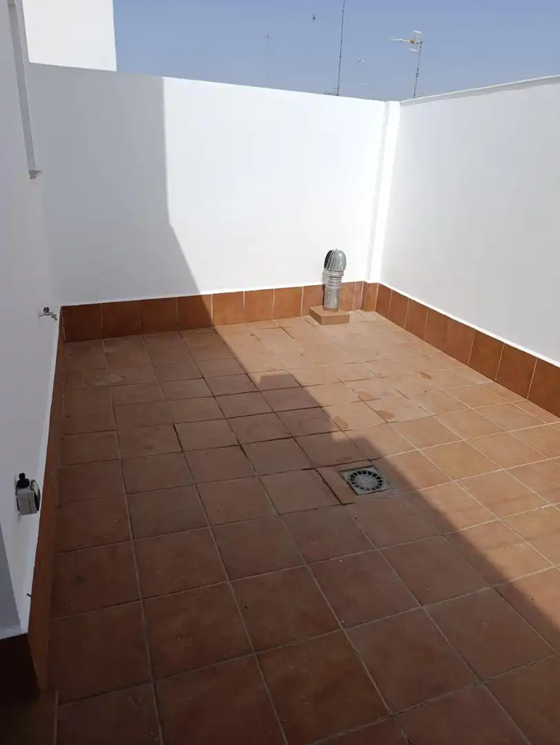 Apartments for rent in Centro
