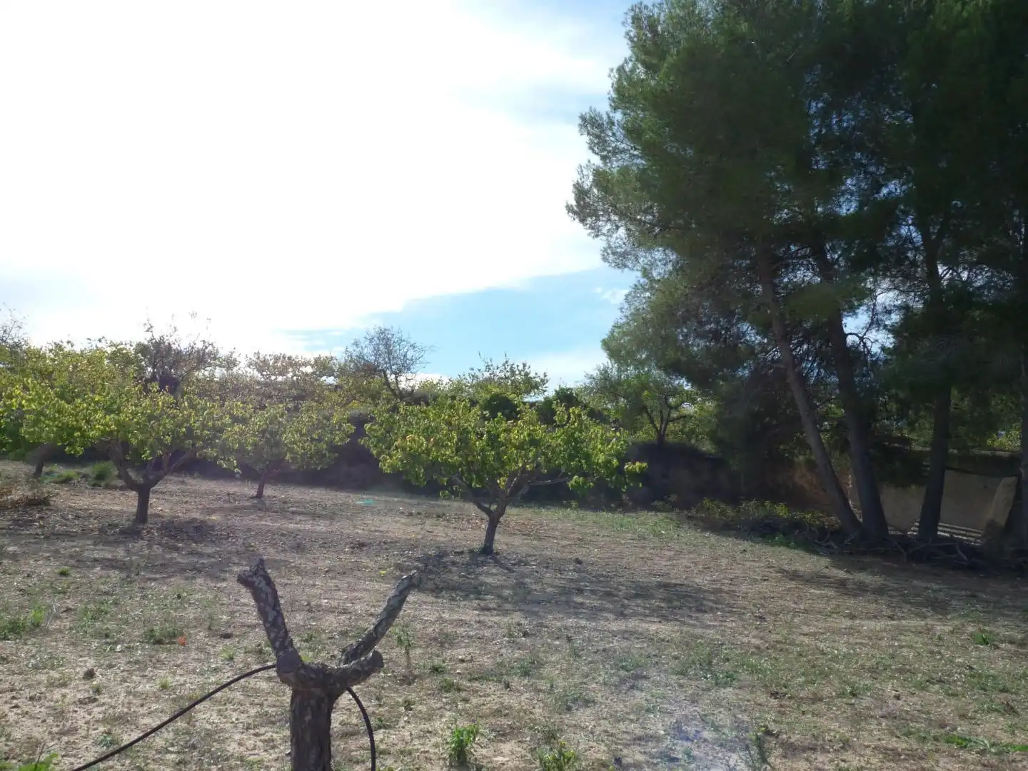 Country house zum Verkauf in Albaida mit Privatgarten und Terrasse
