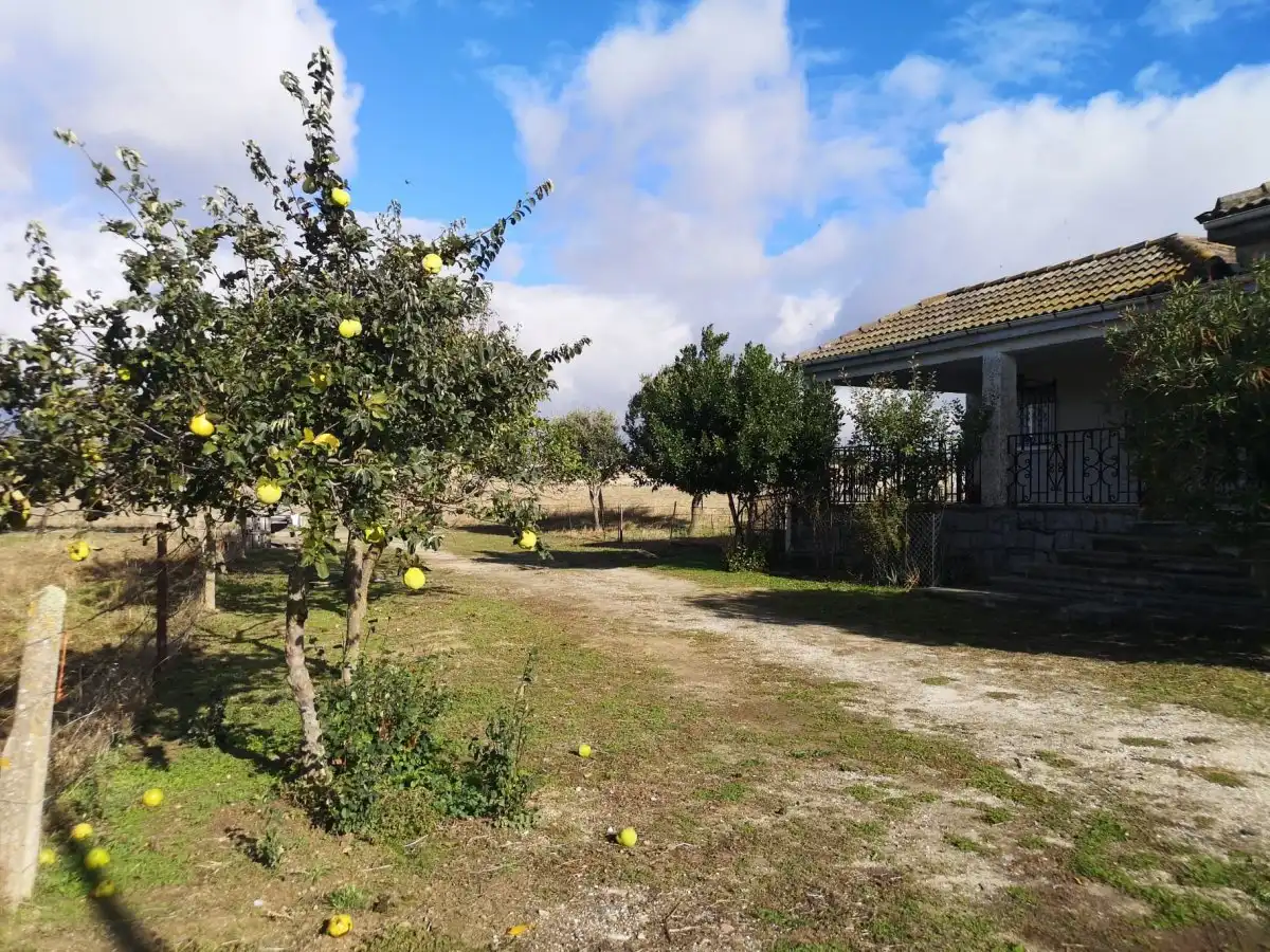 Houses for sale in Vitigudino  with Heating, Terrace and Storage room