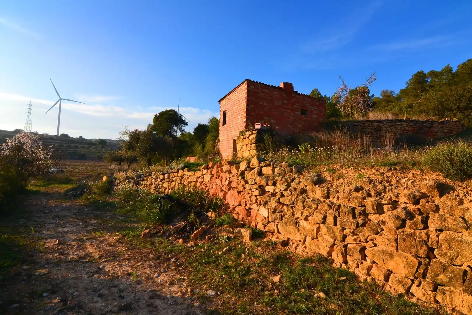 Rural land for sale in Corbera d'Ebre, imagen 26