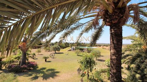 Foto 2 de Finca rústica en venta en Ciutat d'Alcúdia, Illes Balears