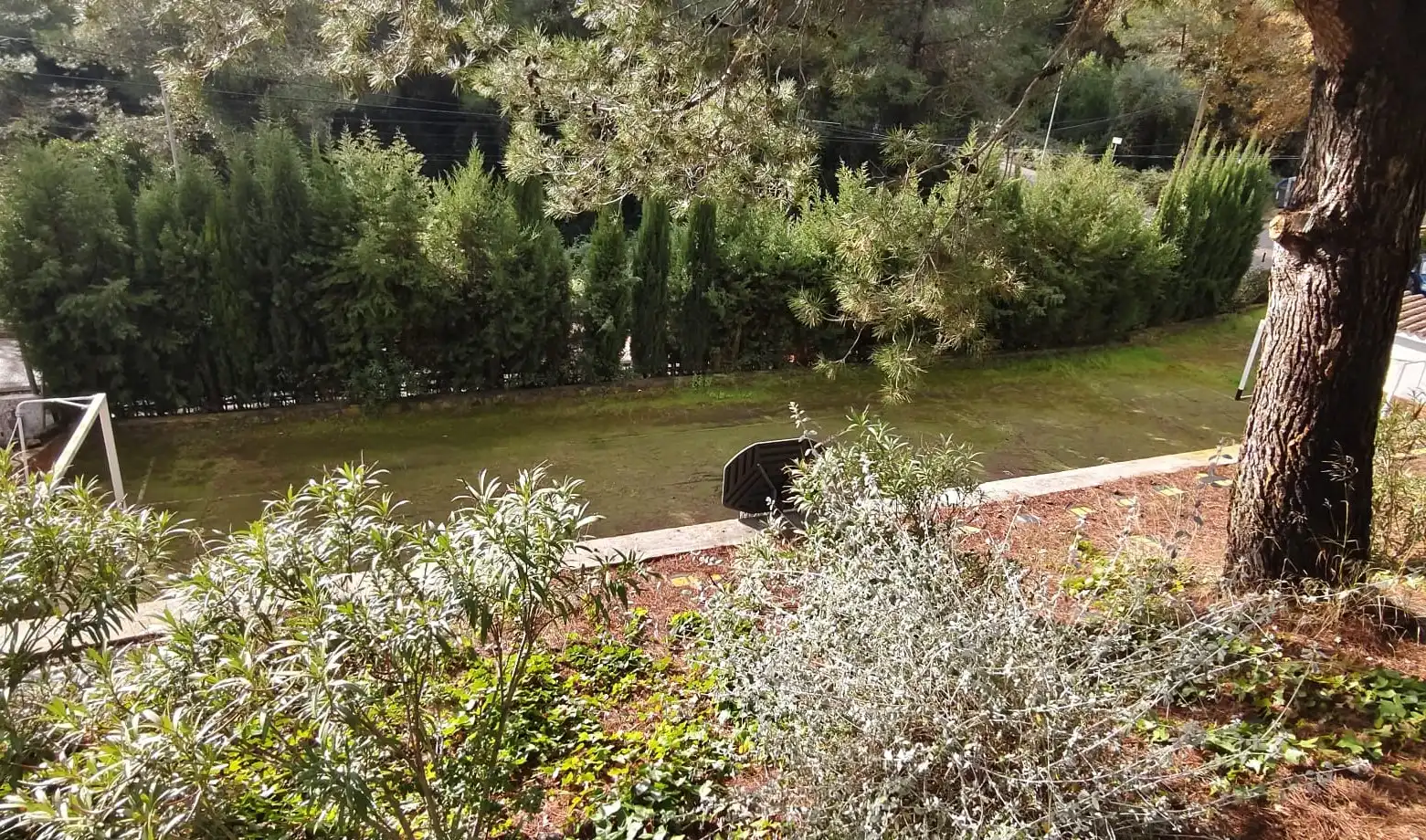 Jardí de Casa o xalet en venda en Cervelló amb Jardí privat, Terrassa i Piscina