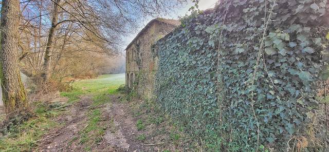 Finca rústica en Venta en N/A, -1 en Guntín