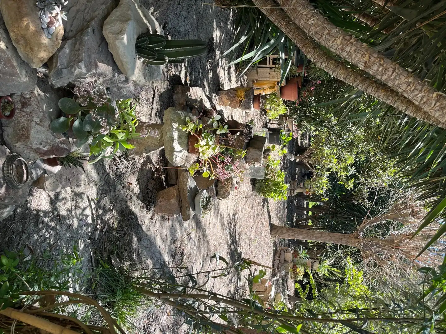 Jardín de Finca rústica de alquiler en Catral con Jardín privado