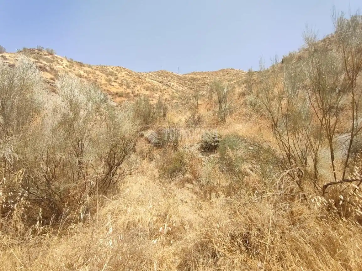 Rustikales Grundstück zum Verkauf in Pinos Genil, imagen 9