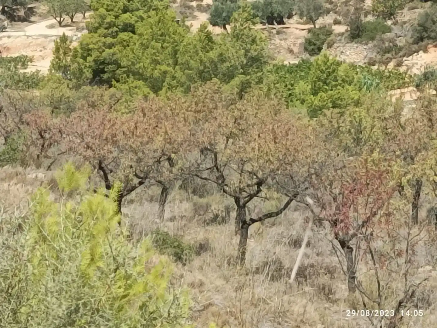 Finca rústica en venda en Bot