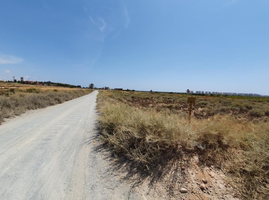 Land for sale in Elche / Elx