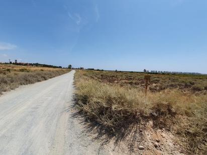 Land for sale in Elche / Elx
