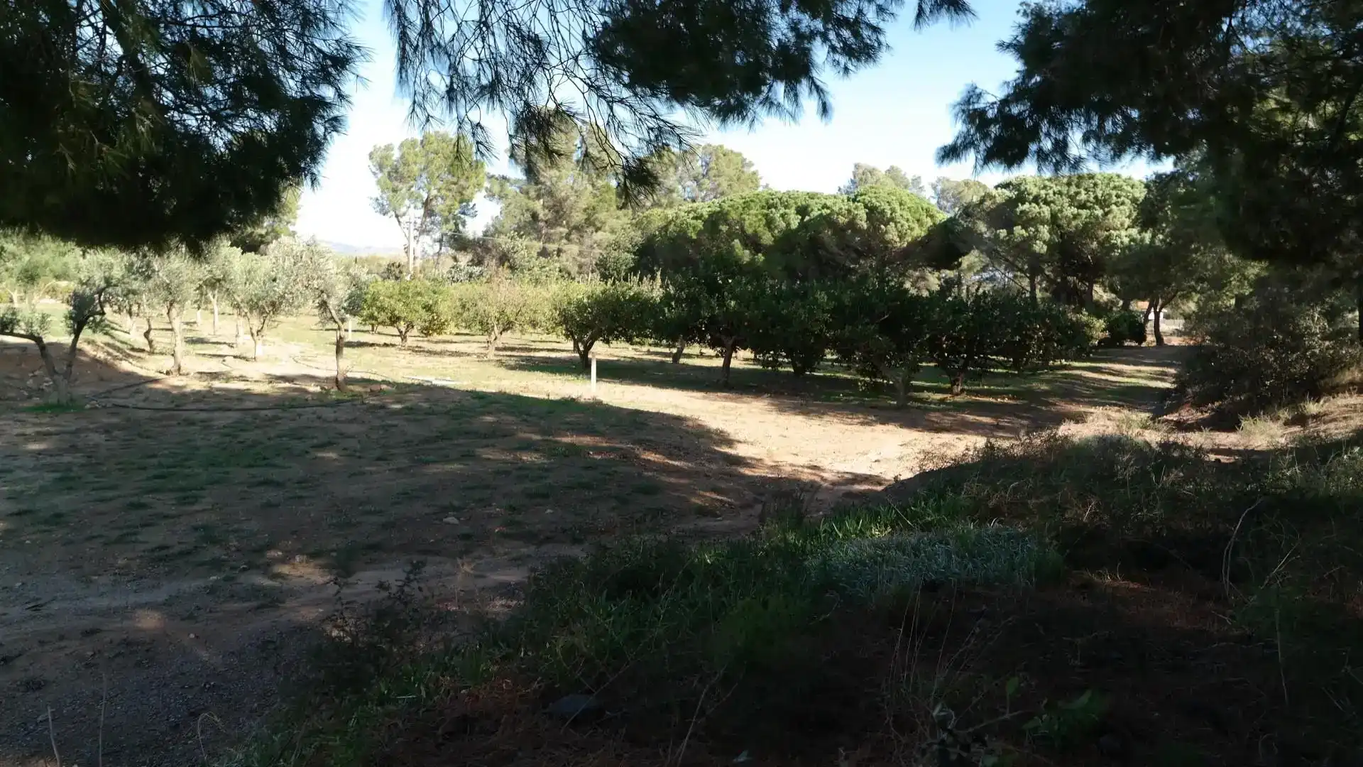 Casa o xalet en venda en Vilanova d'Escornalbou amb Aire condicionat i Piscina