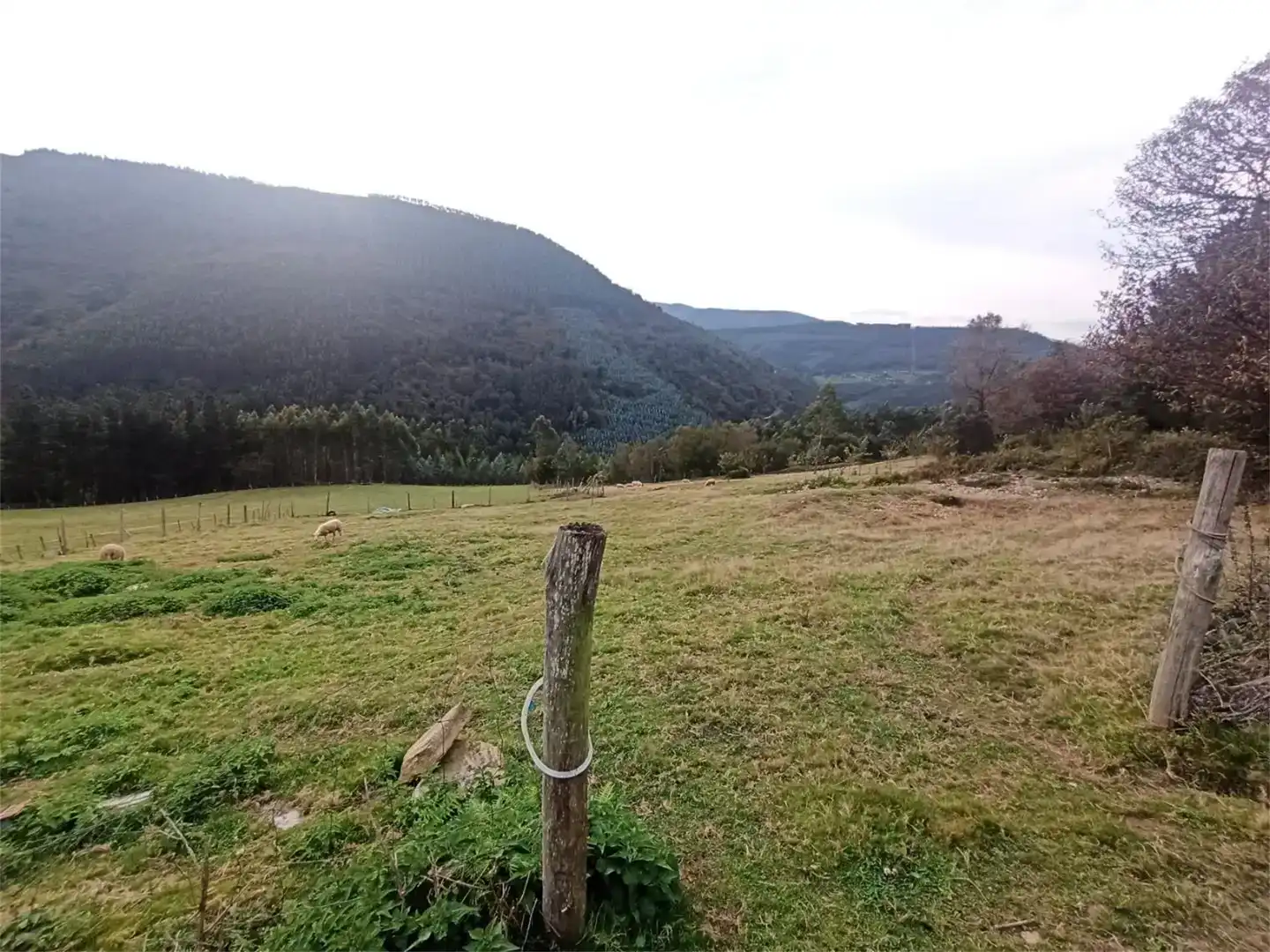 Finca rústica en venda en A Pontenova  