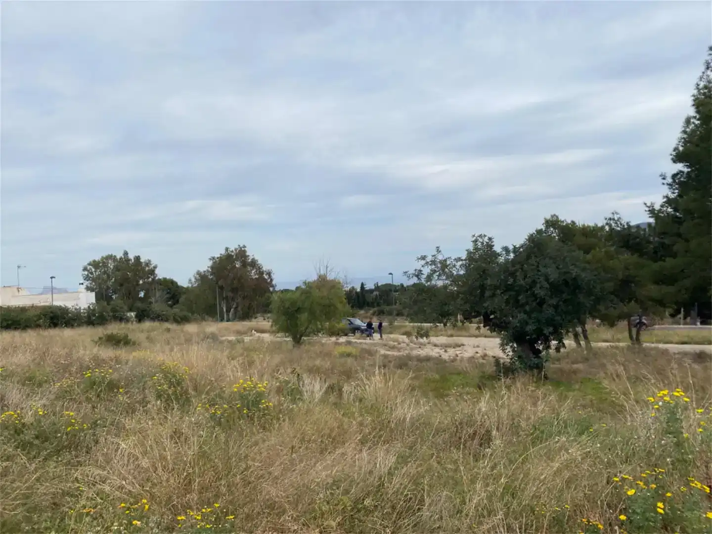 Terreno en venta en Escandinavia - Cautivador