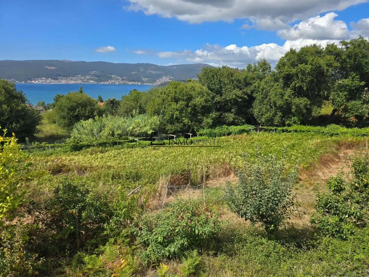 Casa o xalet en venda en Pontevedra Capital  amb Jardí privat