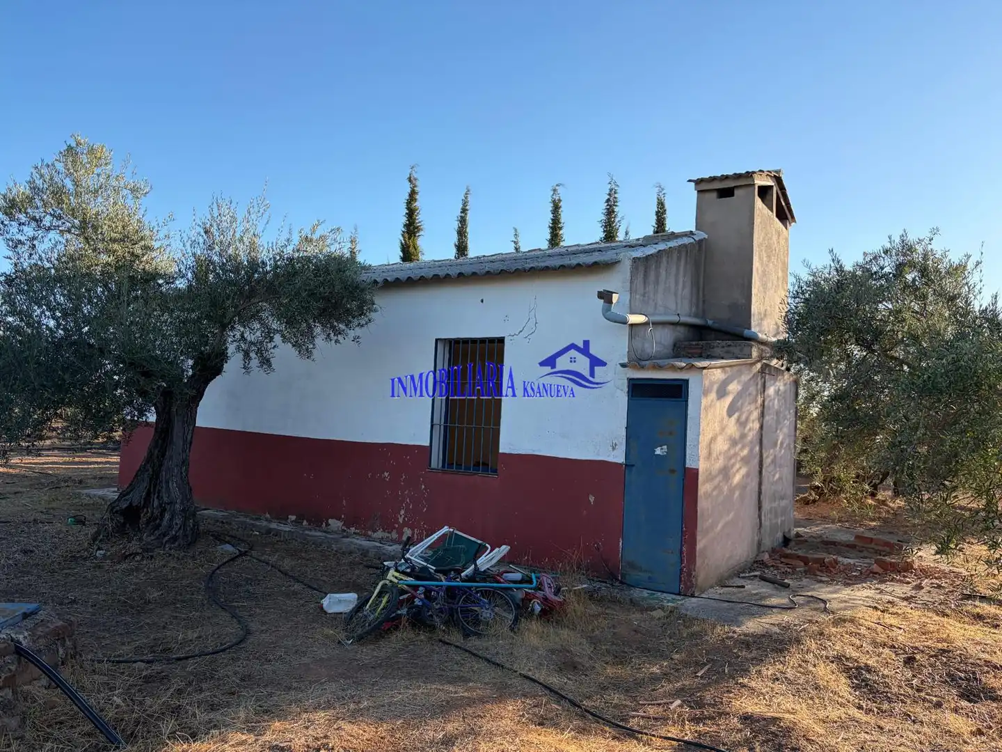 Vista exterior de Finca rústica en venta en Villa del Río, Córdoba