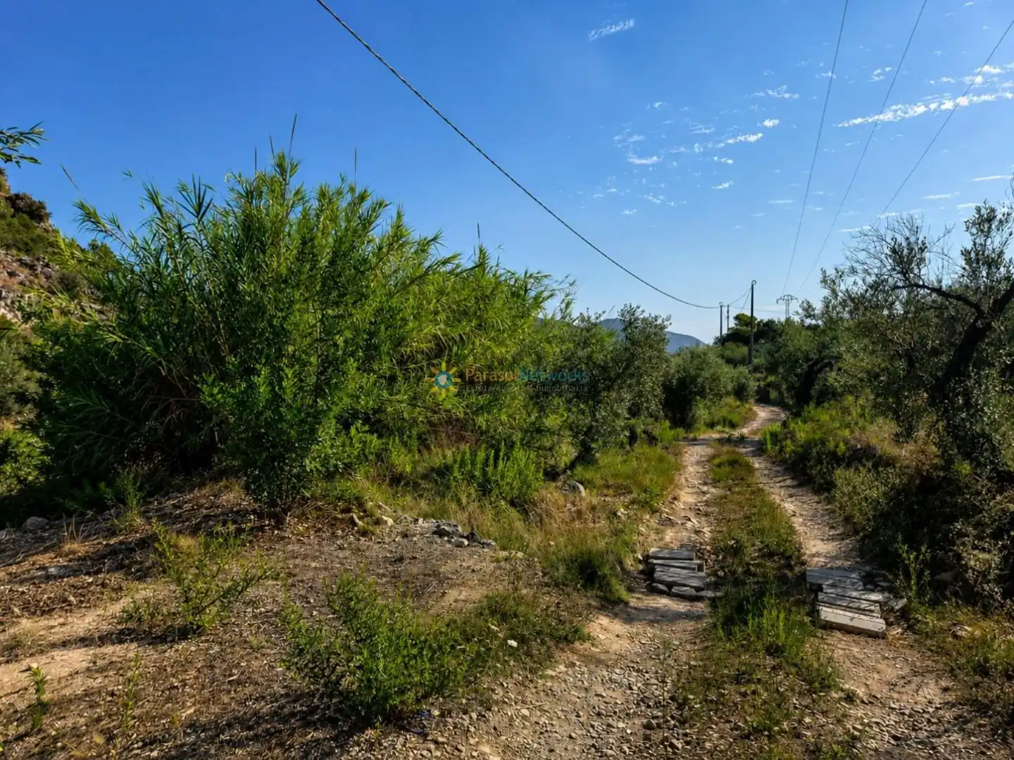 Terreno rustico in vendita a L'Atzúbia, imagen 11