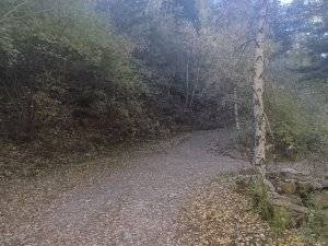 Terreno en Venta en Urbanització Super Pal, 1 en Pal - Xixerella