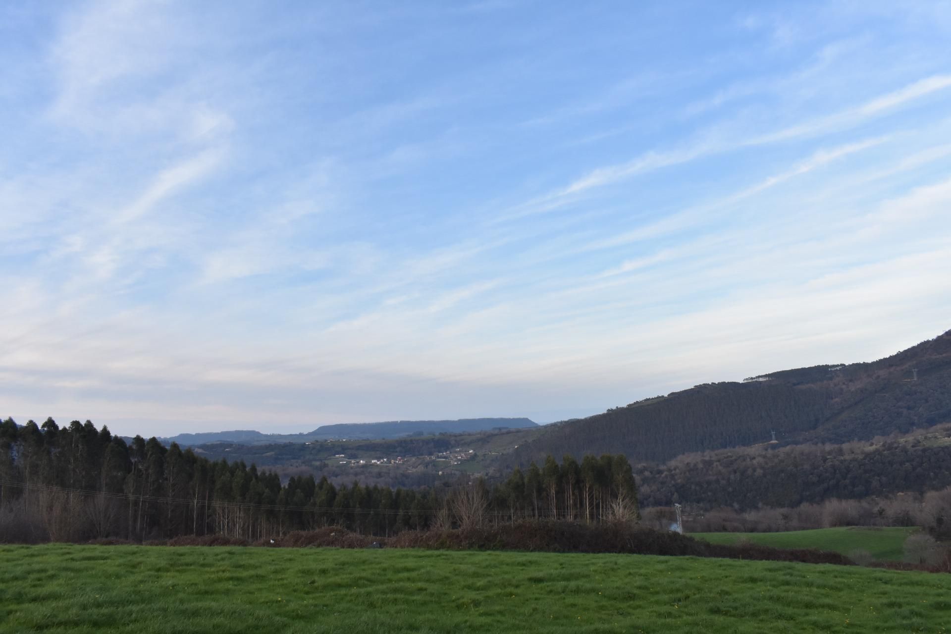 Exterior view of Single-family semi-detached for sale in Herrerías