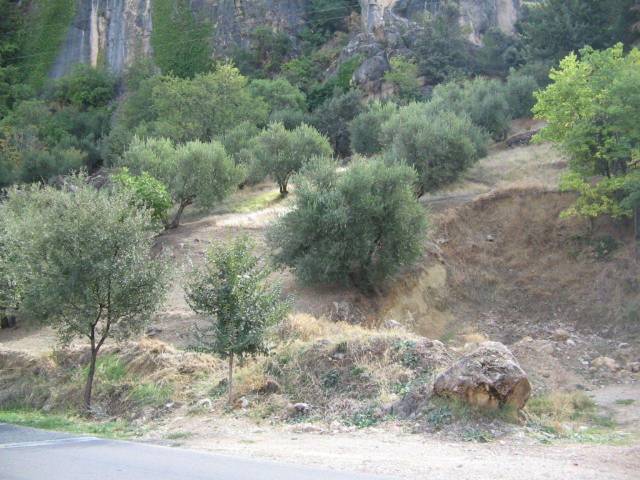 Terreno residencial en Venta en Cr De La Sierra,s.n en La Iruela