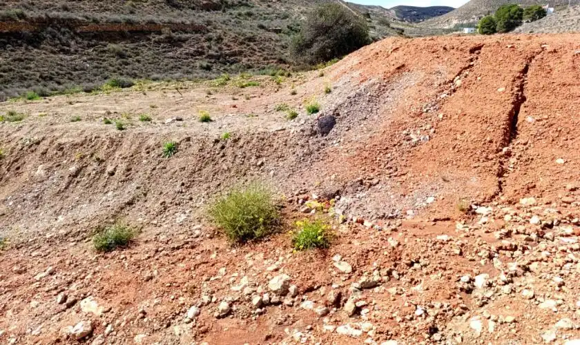 Terreno rústico en venta en Carboneras, imagen 12
