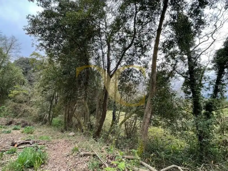 Residencial en venta en Villaviciosa