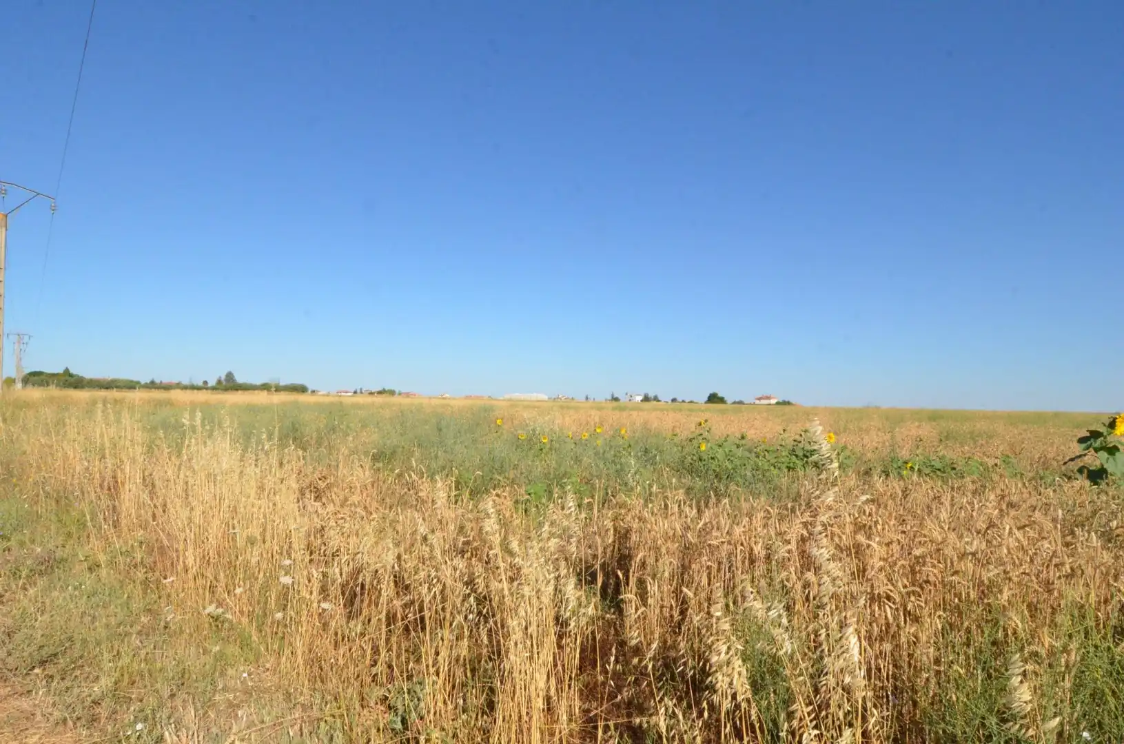 Rural land for sale in Calzada de Valdunciel, imagen 2
